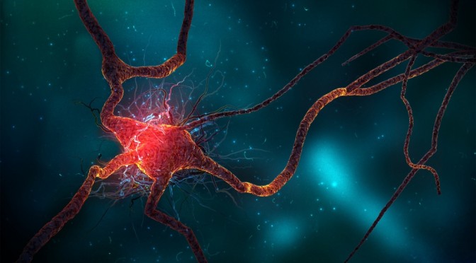 neuron_cell-1680x1050